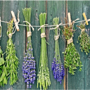 Herbs 4UR Health (1 Day Course)