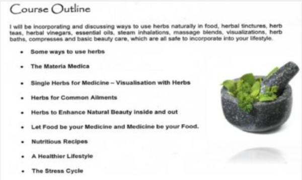 Herbs 4UR Health (1 Day Course) - Image 3